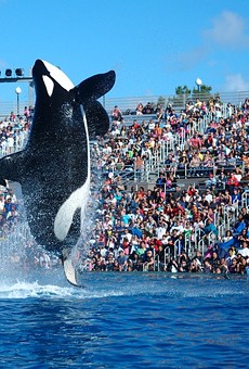 SeaWorld admits employees posed as animal activists