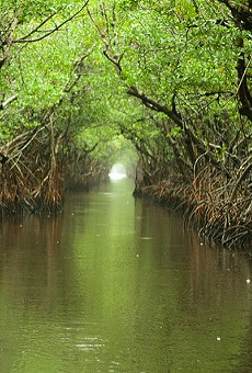 Rick Scott approves 'Legacy Florida' money for Everglades, Lake Apopka