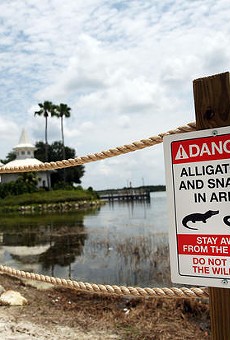 Firefighters at Walt Disney World resort warned to stop feeding alligators