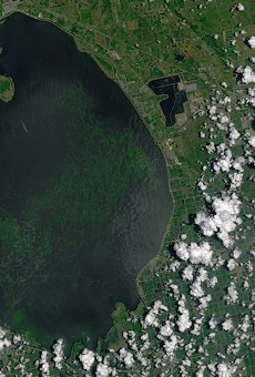 Florida opens loan programs for businesses affected by algae