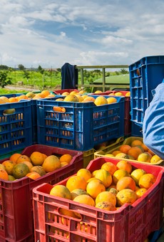 For lots of reasons, Florida's citrus industry says it's 'pretty close to a cliff'