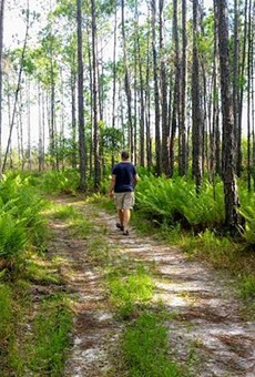 Osceola commissioners approve controversial highway extension through Split Oak Forest