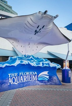 Tampa's Florida Aquarium announces multimillion dollar updates, 25th anniversary adult slumber party (6)