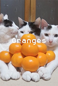 Still from 'Surface Image: Prologue: Oranges 2015'