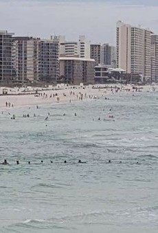 80 people form human chain to save family at Florida beach