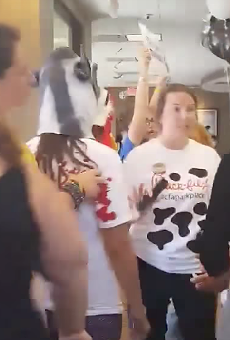 'It's not food. It's violence,' yell protesters at Florida Chick-fil-A
