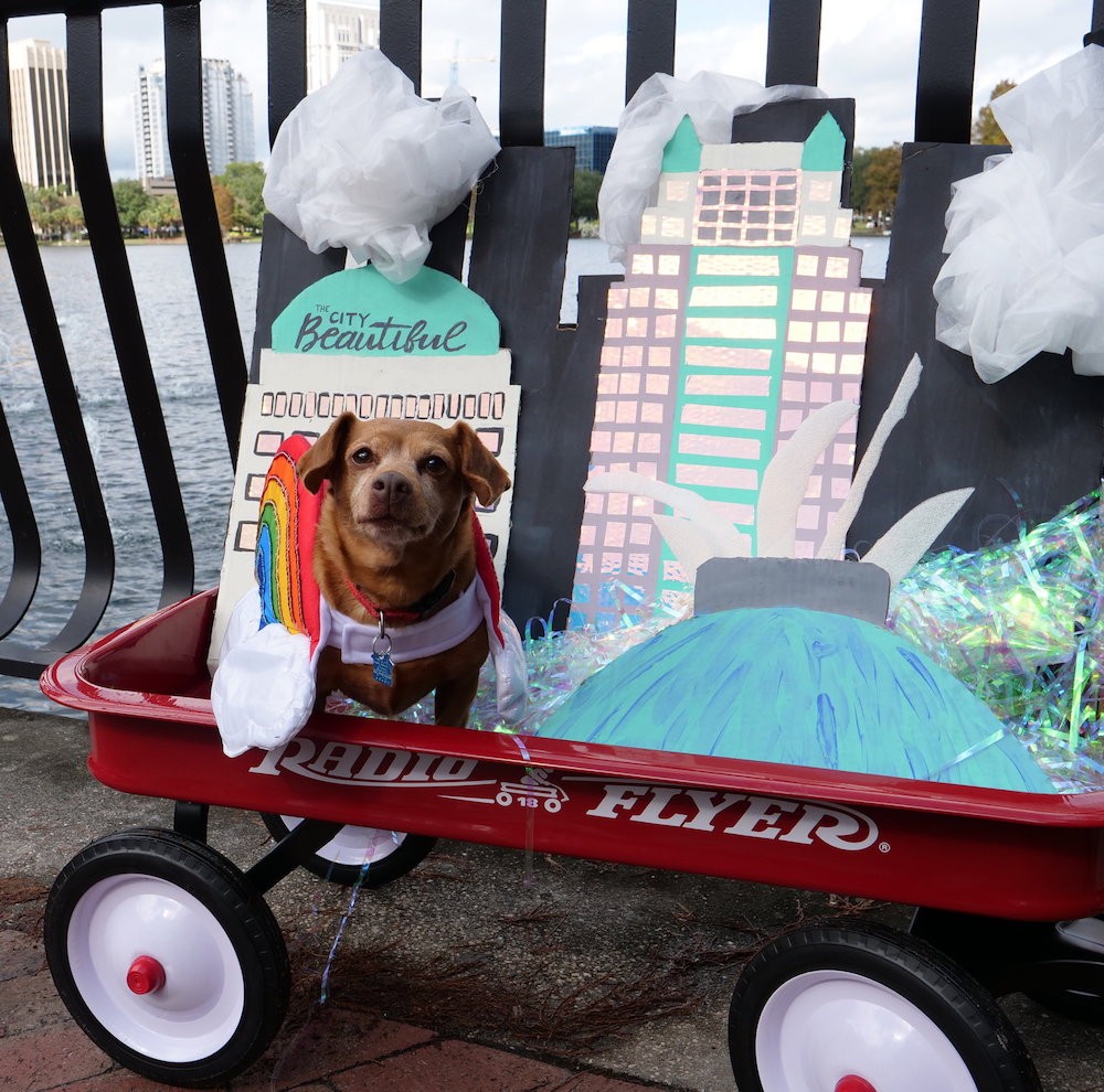 Paws in the Park will parade the pups at Lake Eola on Saturday Arts
