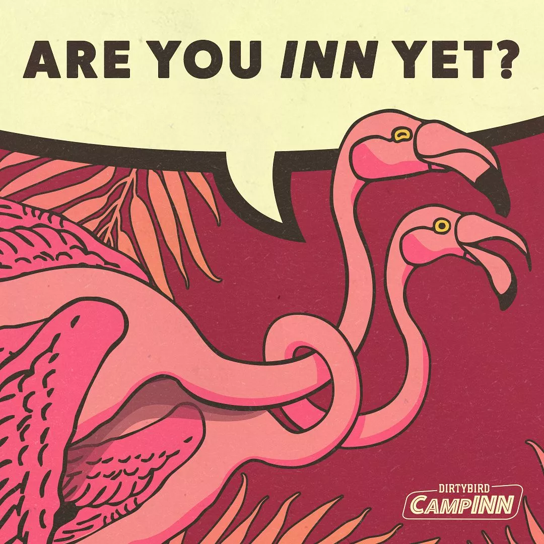 delusional-production-company-announces-campinn-a-safe-edm-festival