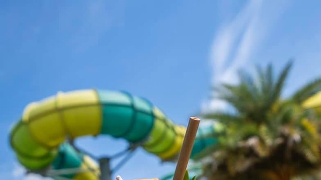 With a major new attraction likely in the works, Tampa's Adventure Island looks to move out of the shadow of other Florida water parks