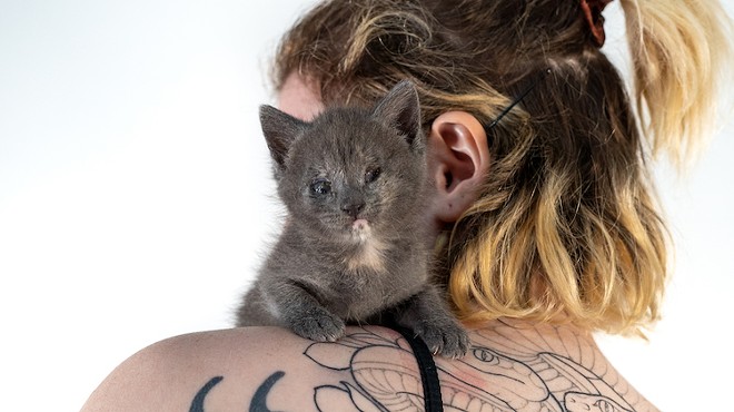 Cattoo Day brings together two great things: tattoos and cats