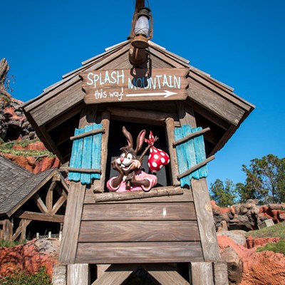 Study says Splash Mountain is still Disney World's most popular ride, despite being shut down