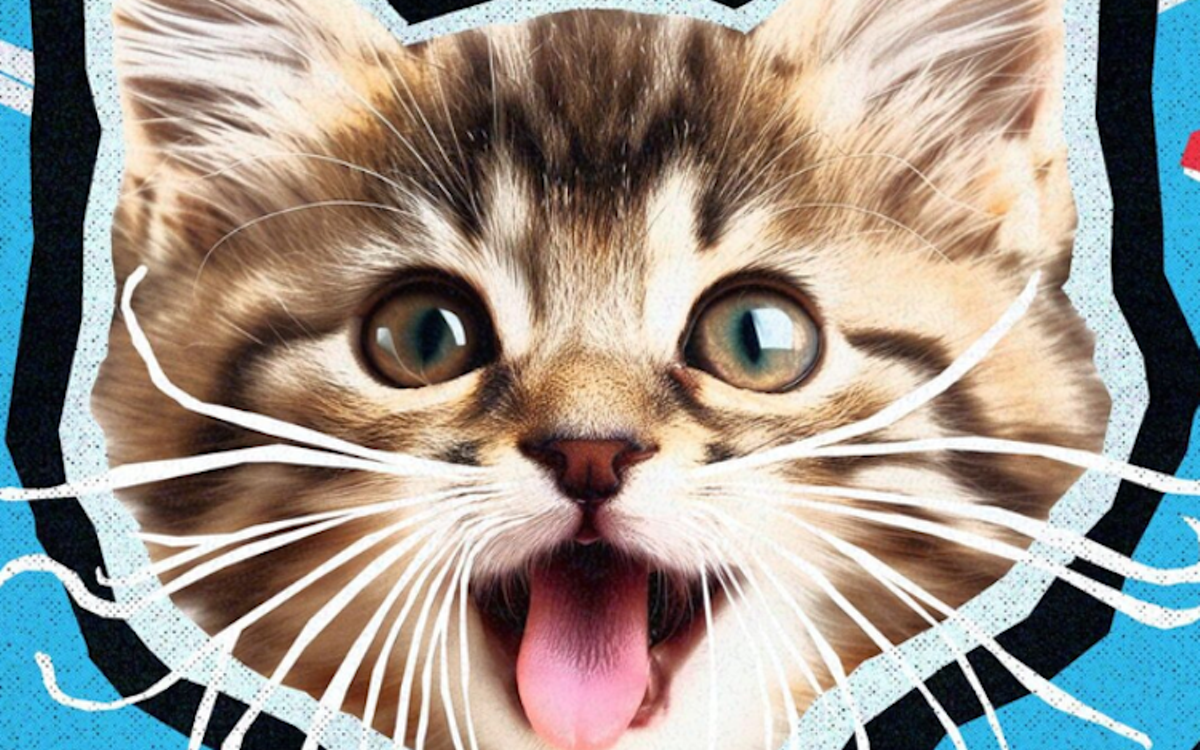 CatVideoFest returns to Orlando this week with all the feline pratfalls and athletics you can handle
