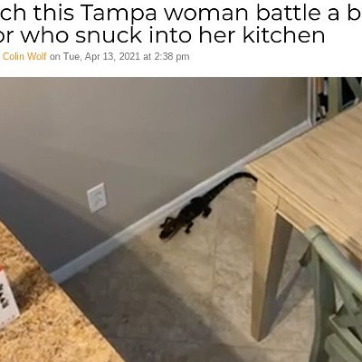 Watch this Tampa woman battle a baby gator who snuck into her kitchen        