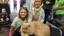 Cat Show - Uploaded by Michele Lukic