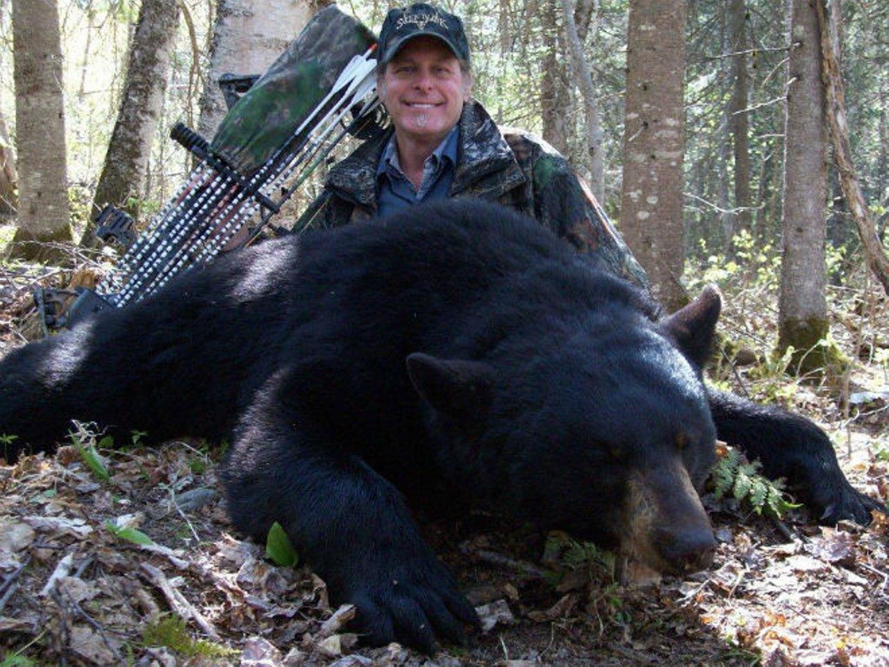 You could go for a hike and get shot by one of the 2000 Florida bear hunters, including Ted Nugent.
Photo via ArcheryTalkBlog