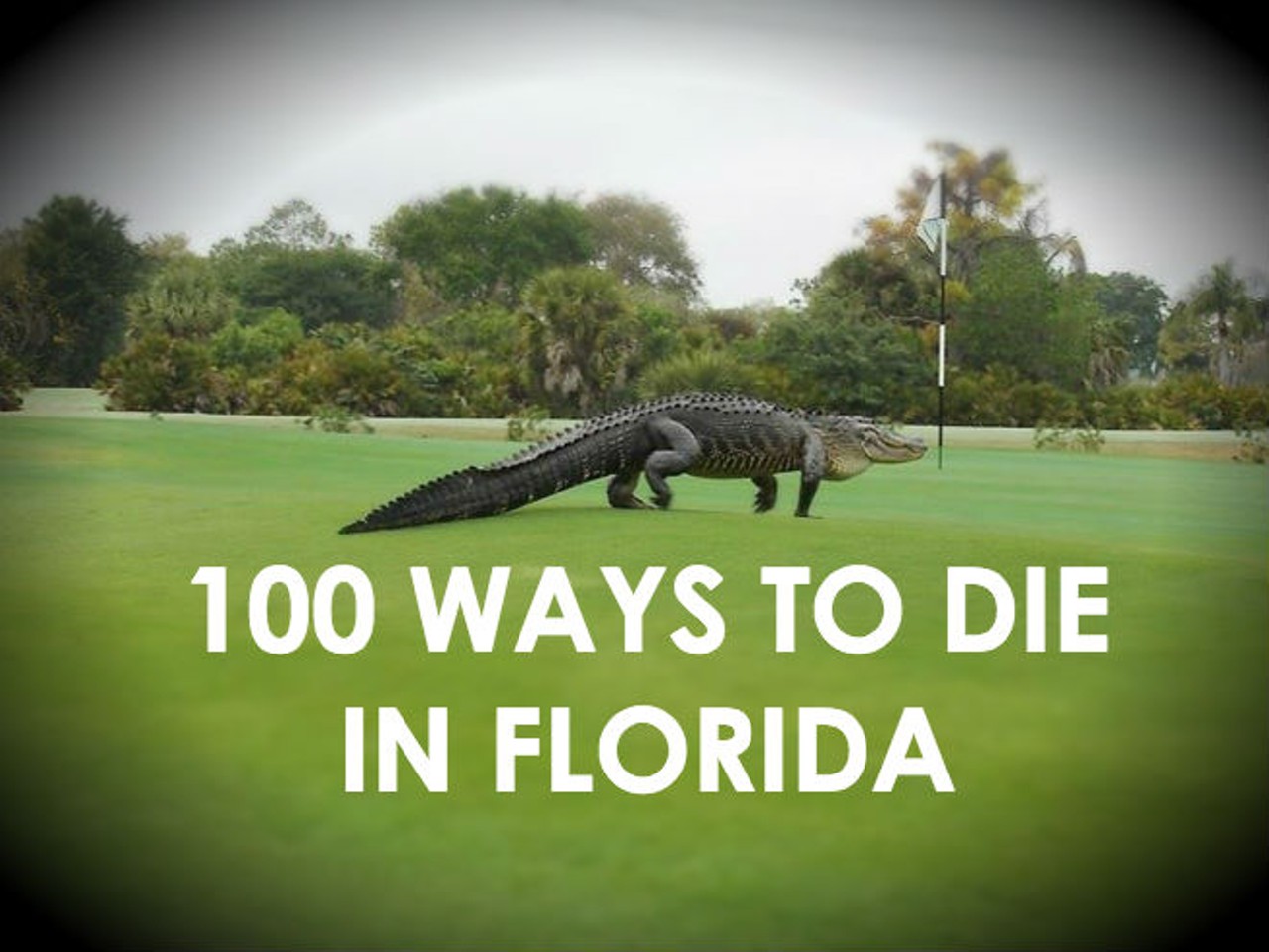 100 ways to die in Florida