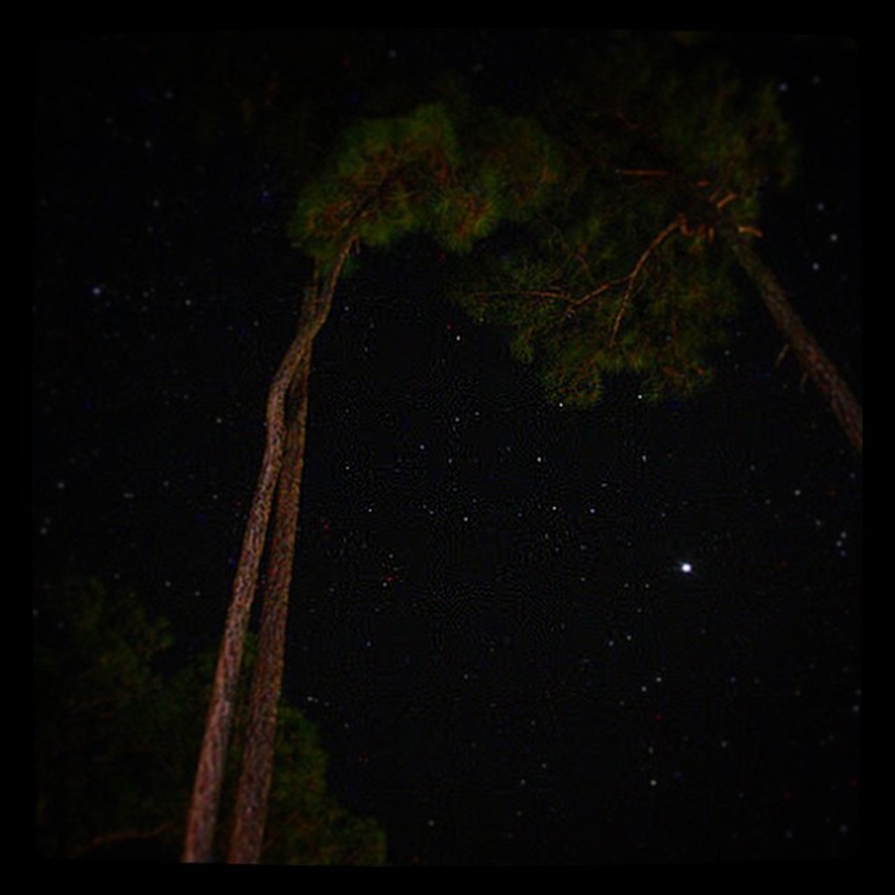 Winter is also stargazing season in Florida
Since there's typically less cloud cover in the winter, Florida's night skies are currently shining a little brighter. If you want to step it up a notch, UCF has an observatory that is often open to the public. Check their schedule for details. 
Pic via free220 on Instagram