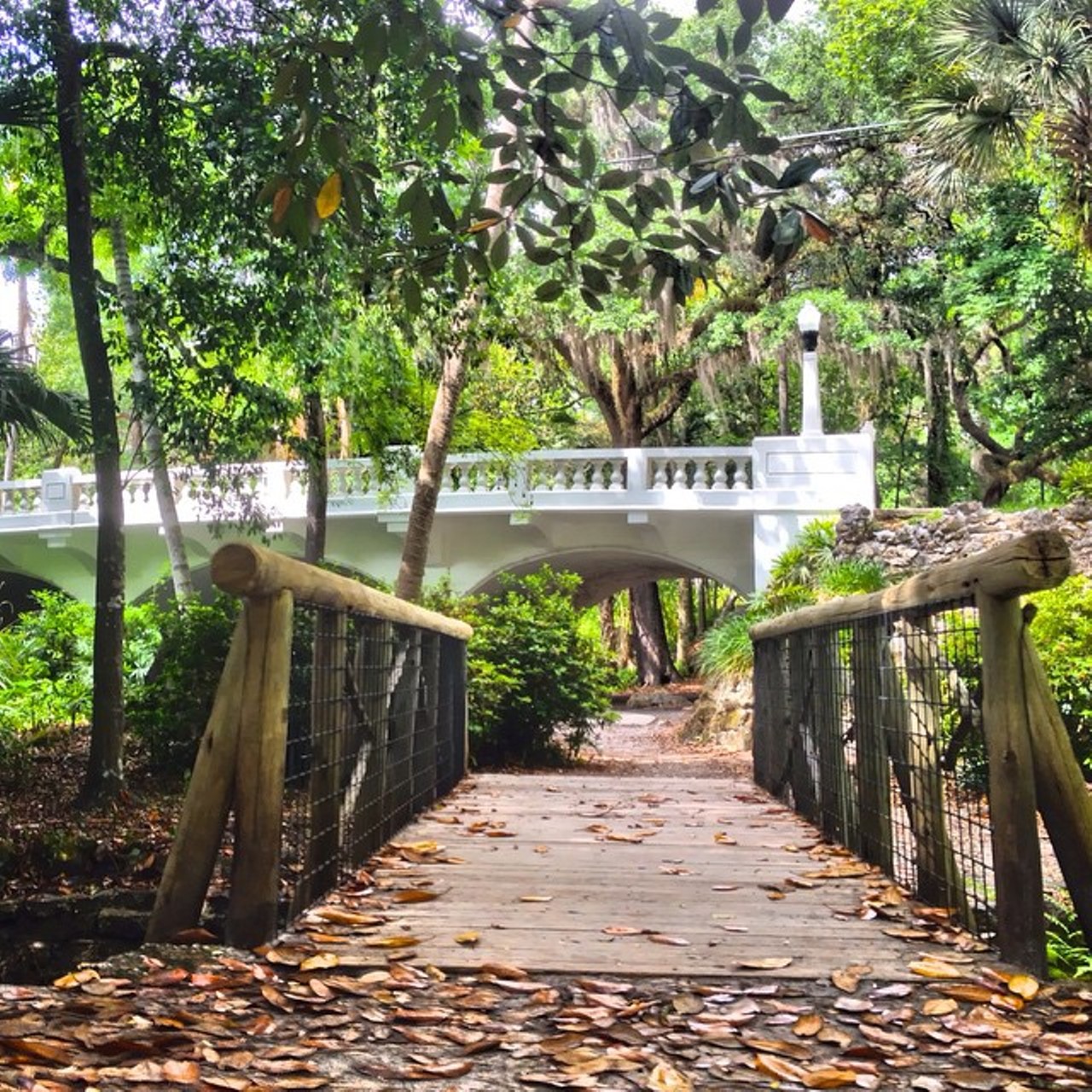 Dickson Azalea Park
100 Rosearden Dr.
The park is Orlando&#146;s only cultural landscape which also serves as a historic landmark. They broke ground back in 1933 and the park was later dedicated to Orlando businessman Henry Hill Dickson, an &#147;advocate of the city&#146;s beautification&#148;. 
Photo via jameycic/Instagram