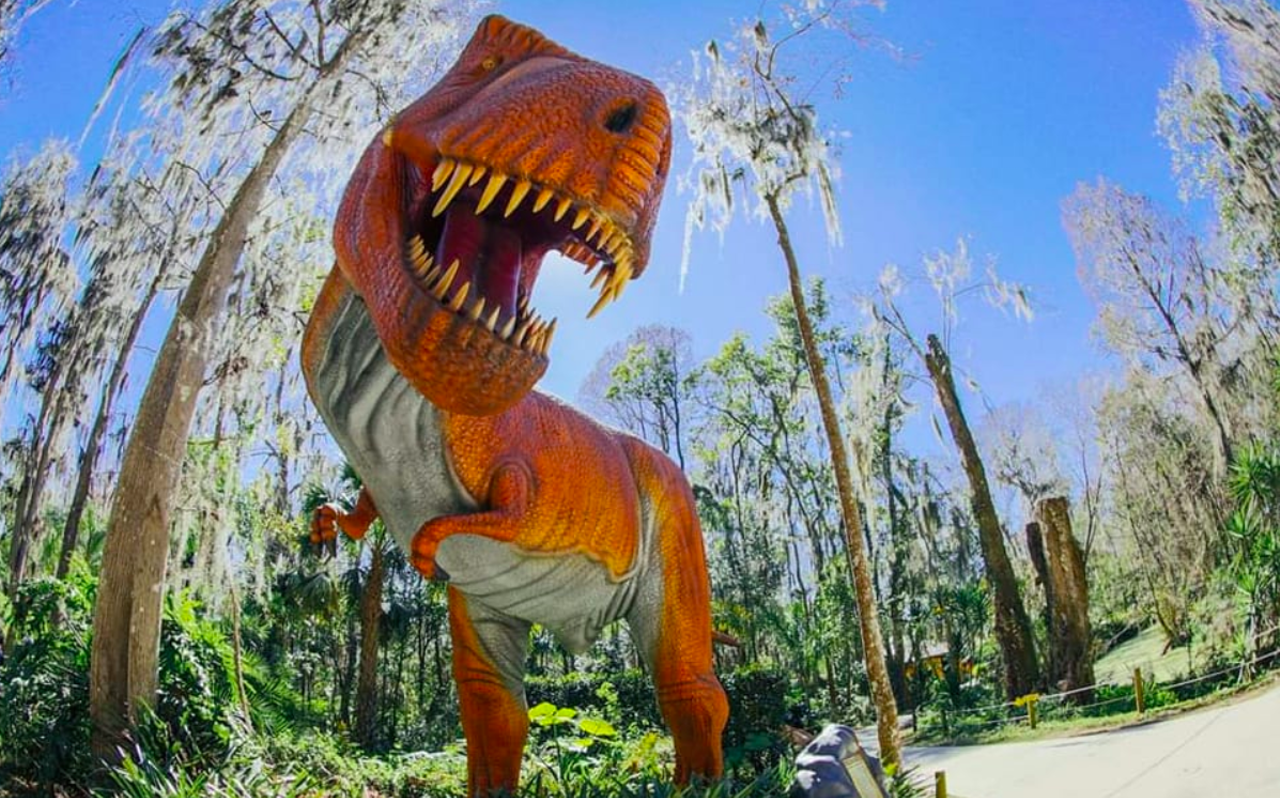 Dinosaur World
1 hour and 23 minutes from Orlando
Tampa Bay's own prehistoric playground is the perfect place to wander around hundreds of life-sized dinosaurs in natural settings. The attraction offers a dino-themed play area, a massive interactive boneyard and a museum featuring a collection of animatronic beasts.