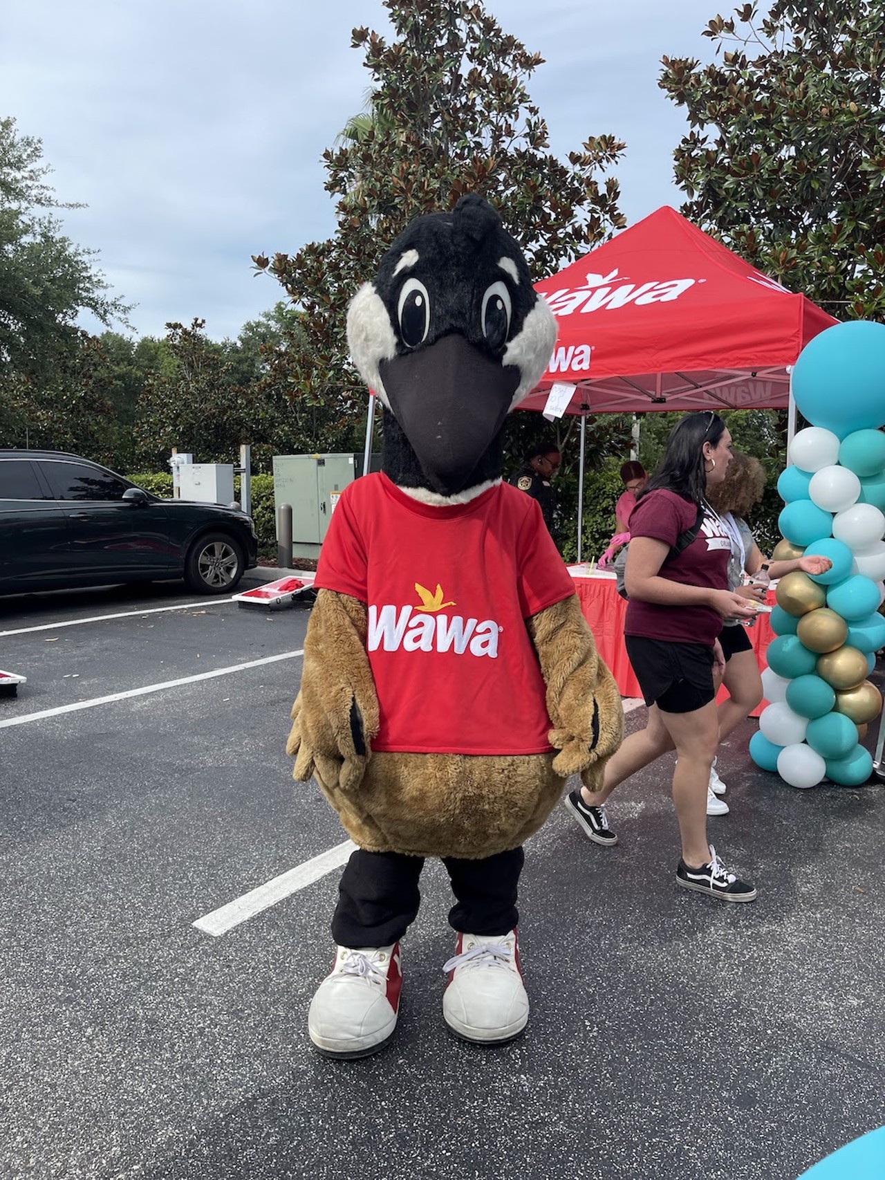 Wawa offers free coffee, fountain sodas to celebrate 10 years in Orlando