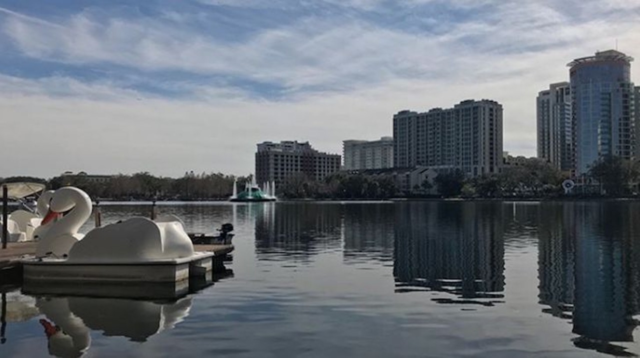Spend a day at Lake Eola Park in downtown Orlando
512 E Washington St, Orlando Lake Eola  
The farmers market at Lake Eola, every Sunday, has local vendors selling everything from from food to art. It&#146;s also a great place to bring your dog or paddle around the lake on one of the signature swan paddle boats. 
Photo via Lake Eola