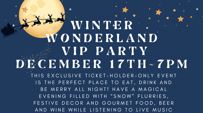 Winter Wonderland VIP Party
