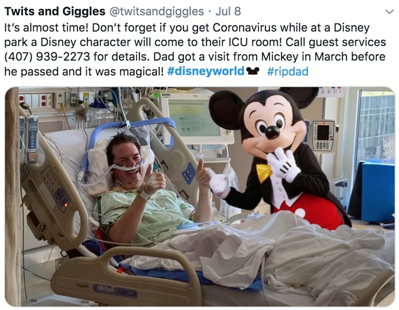 With tourists flocking to Walt Disney World during a pandemic, Twitter lets loose