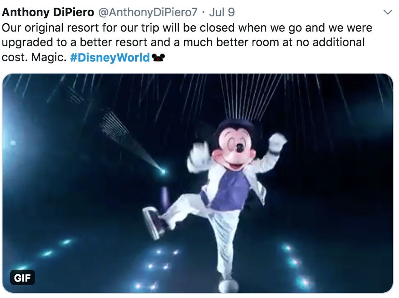 With tourists flocking to Walt Disney World during a pandemic, Twitter lets loose