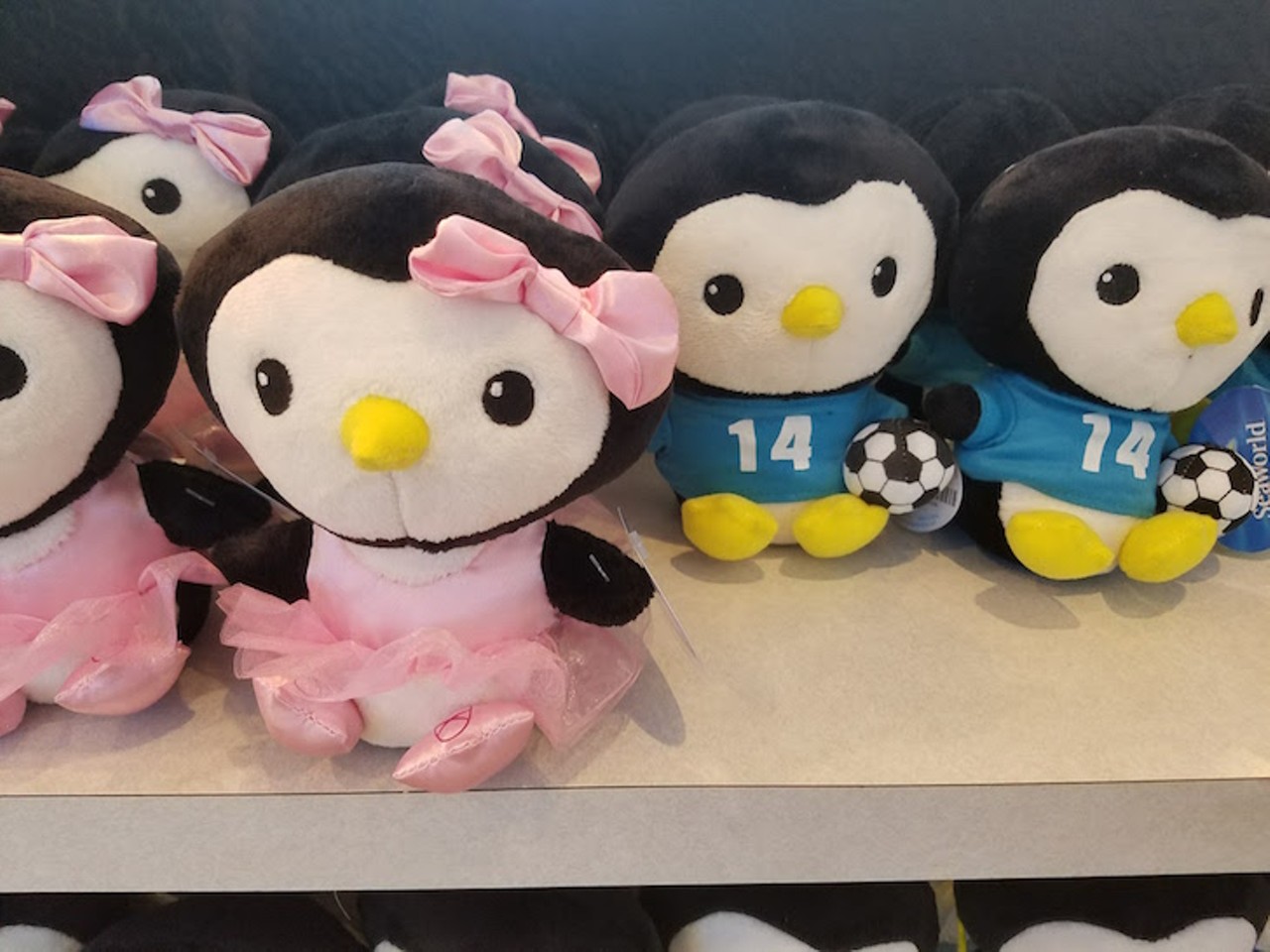 WTF is going on with these souvenirs at SeaWorld gift shops?