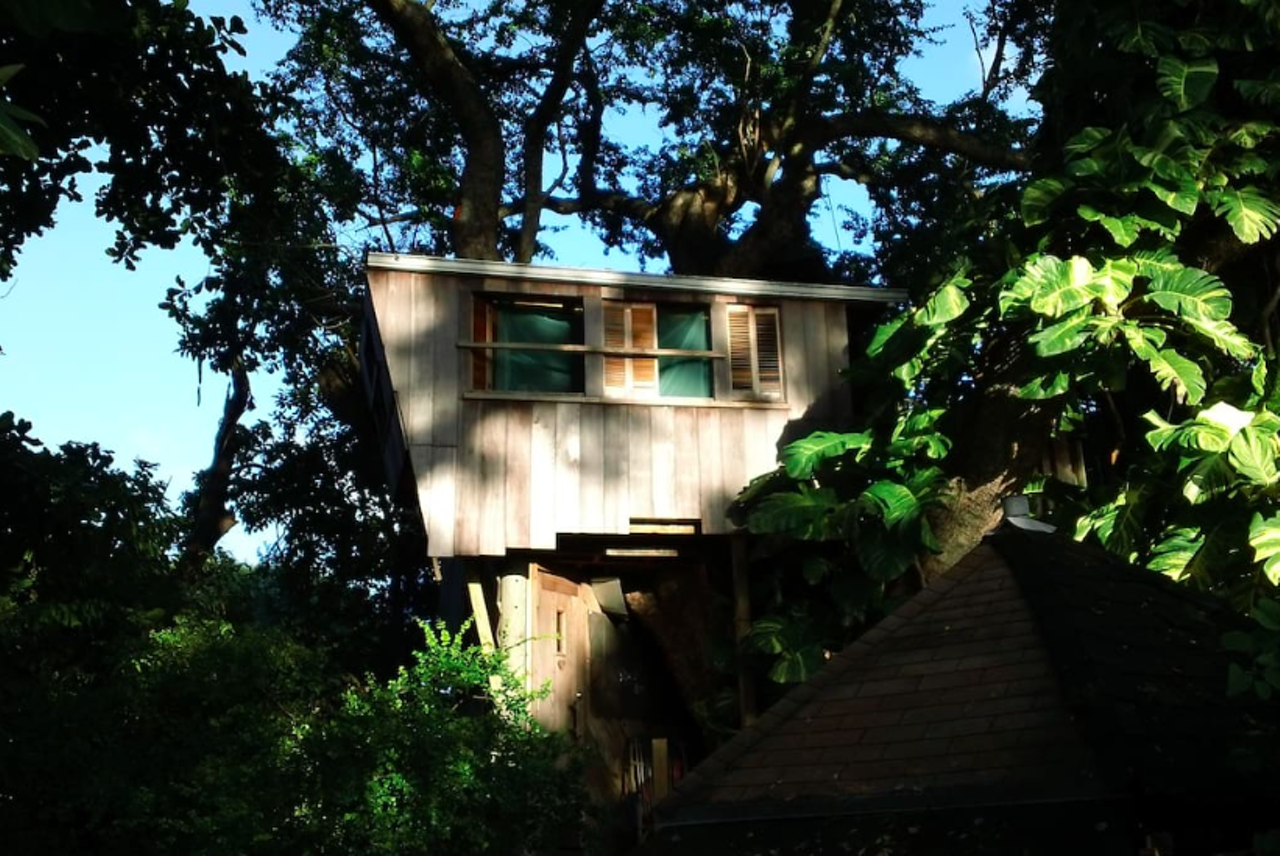 An afternoon view of the treehouse from a different angle.
image via Airbnb listing